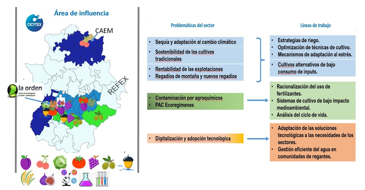 area%20y%20problematica